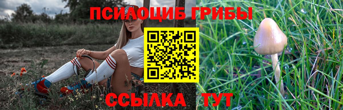 Псилоцибиновые грибы GOLDEN TEACHER  Псилоцибиновые грибы Psilocybe  Вход с VPN  Шелехов 